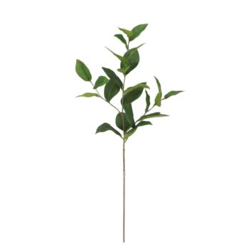 Citroenblad Kunsttak