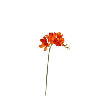Freesia Kunsttak  Oranje