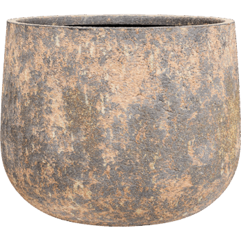 Baq Atlas Darcy Brown