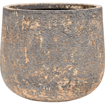 Baq Atlas Darcy Brown