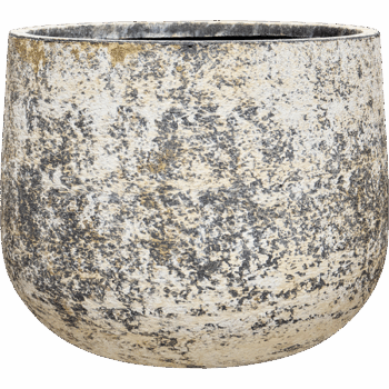 Baq Atlas Darcy White