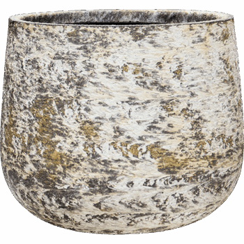 Baq Atlas Darcy White