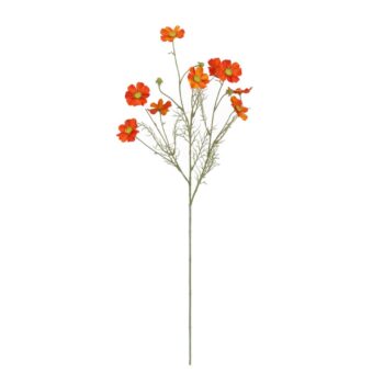 Cosmea Kunsttak  Oranje