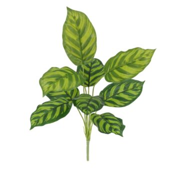 Calathea Maranta Kunstplant