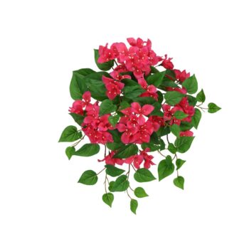 Bougainvillea Kunsthanger  Cerise