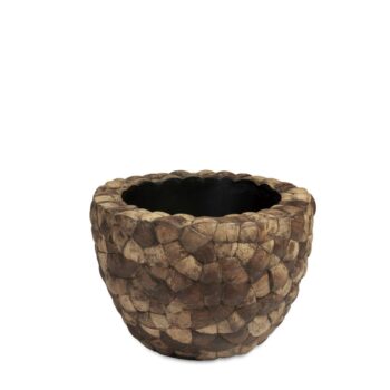 Bosco Bowl Plus Coconut