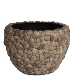 Bosco Bowl Large Coconut