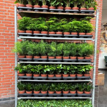 Classic Mix Kar Week 23