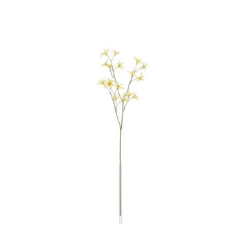 Tweedia Oxypetalum Kunsttak  Geel