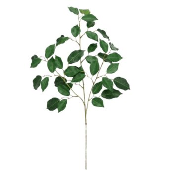 Ficus Kunsttak FR  Groen