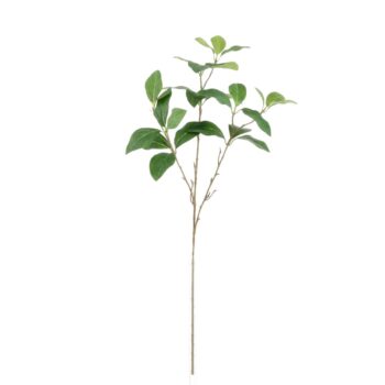 Enkianthus Kunsttak deluxe