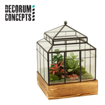 Terrarium Wardian Case (Decorum concepts)