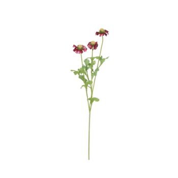 Helenium Kunsttak  Cerise