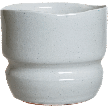 Gr.orch pot D18 ATOM