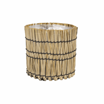 Gr.orch.pot D17 FILLAGE