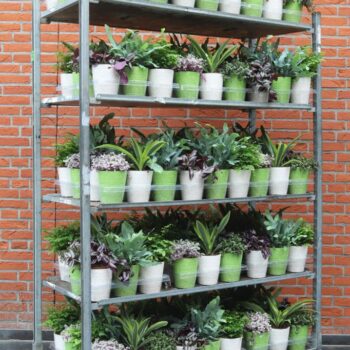 Classic mix in Flower Vase