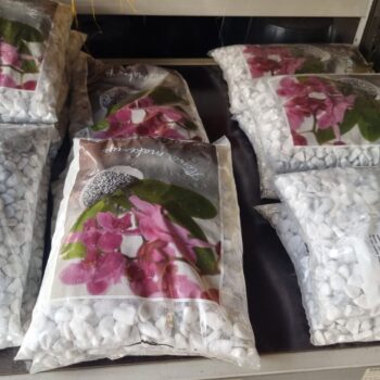 carara rond  White  15-25mm