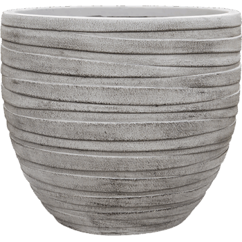 Baq Tornado Couple Grey 46x