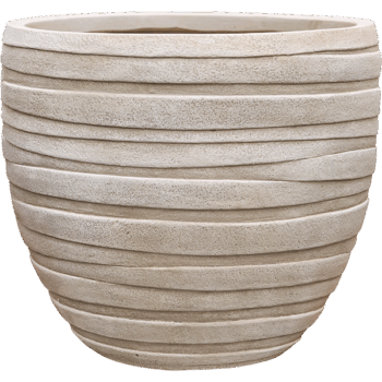 Baq Tornado Couple Beige 36x