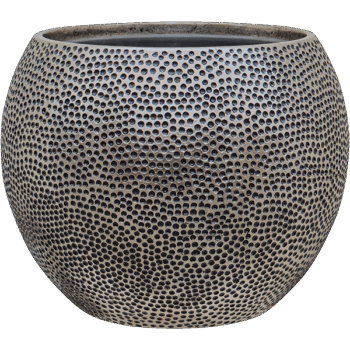 Baq Opus Hit Globe Silver 40x (met inzetbak)