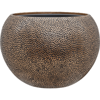 Baq Opus Hit Globe Gold 60x (met inzetbak)