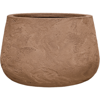 Baq Algar Darcy Brown 51x