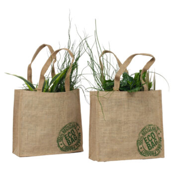 Groenmix 12cm in jute tas