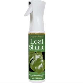 Organic Focus Leaf Shine