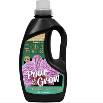 Orchid Focus Pour & Grow 1L