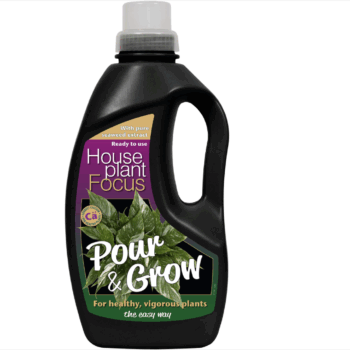 Houseplant Focus Pour & Grow
