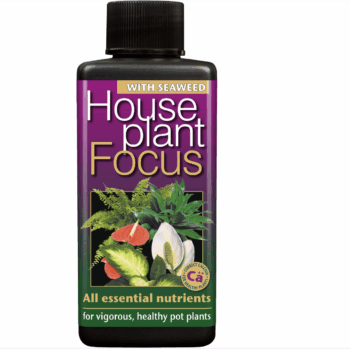 Houseplant Focus 300 ml