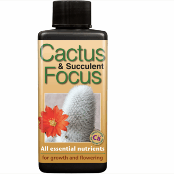 Cactus & Succulent Focus 300 ml