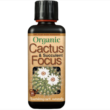Organic Cactus & Succulent Focus 300 ml