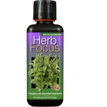 Herb Focus 300 ml