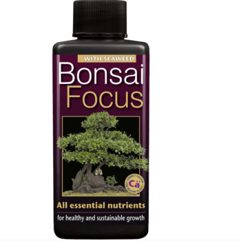 Bonsai Focus 300 ml