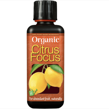 Organic Citrus Focus 1L
