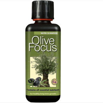 Olive Focus 1L