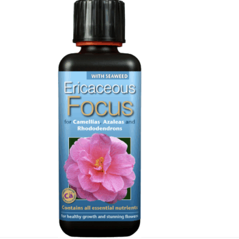 Ericaceous Focus 300 ml