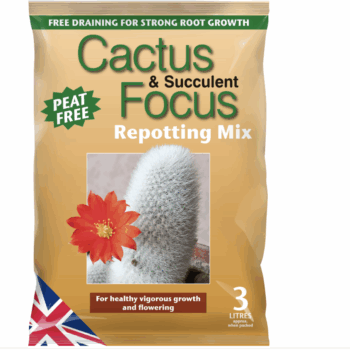Cactus & Succulent Focus Repotting Mix Peat Free 8L