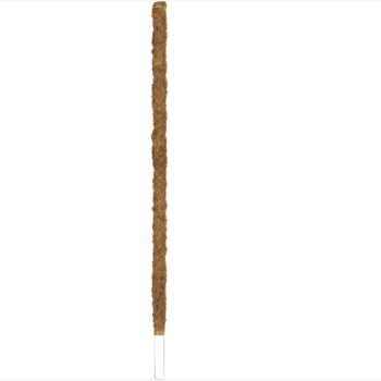 BetterGrow Coir Pole Bamboo 70 cm