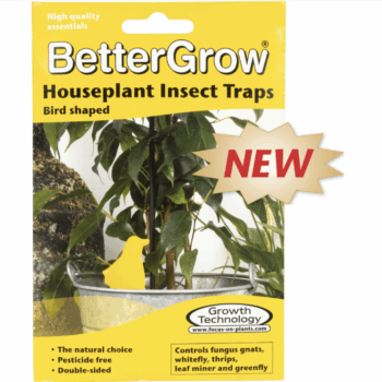 BetterGrow Houseplant Insect Traps 15 pk